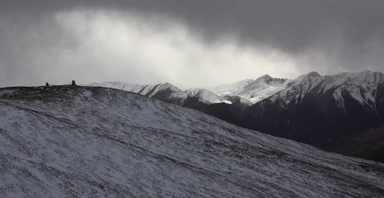 _MG_9549.JPG